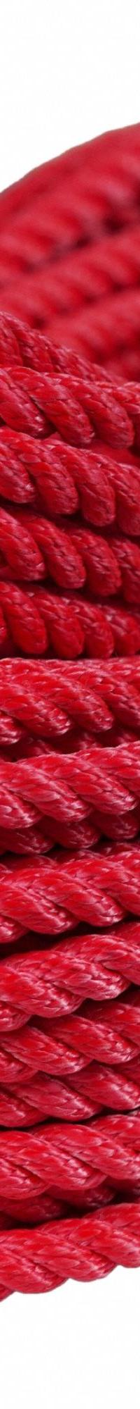 ALL GEAR Rigging and Climbing Rope: Twisted, 5/8 in Dia, 935 lb Working Load Limit, Polyester, Red (MPN AG3STP58R). Key specifications — Brand: ALL GEAR; Rope Type: Static.