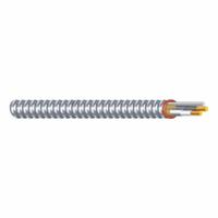 SOUTHWIRE Metal Clad Cable: 14 AWG, 2 Conductors, Copper, 25 ft, Aluminum, Std, THHN/THWN (MPN 61029321). Key specifications — Brand: SOUTHWIRE.