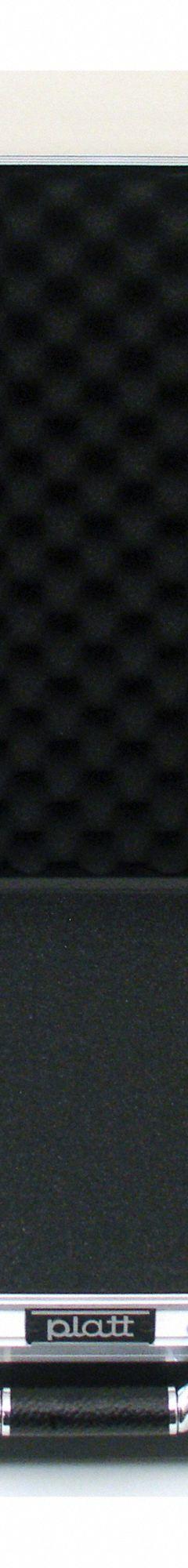 PLATT Protective Case: 20 in x 28 in x 7 in Inside, Pick and Pluck/Solid, Black, Stationary, Plastic (MPN 2807). Key specifications — Closure Type: Keyed; Brand: PLATT; Carry-On Size: No.