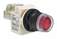 SCHNEIDER Illuminated Push Button: Illuminated, Flush Profile, Non-Metallic, 30 mm, SPDT (MPN 9001SK1L35RH13). Key specifications — Brand: SCHNEIDER; Action: Momentary; Series: 9001SK; Push Button Material Type: Non-Metallic.