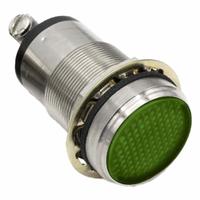 DIALIGHT Panel Indicator Light: 25 mm Panel Mounting Hole Dia, LED, Green, Flush Head, 556 (MPN 5561604304F). Key specifications — Brand: DIALIGHT; Electrical Connection: Screw Terminal.