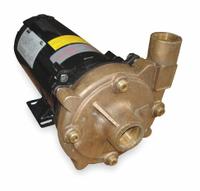 Centrifugal Pump: 1 1/2 hp, 230/460V AC, 110 ft Max Head, 1 1/2 in , 1 1/4 in Intake and Disch (MPN 2ZXA4). Key specifications — Brand: DAYTON; Motor Enclosure Type: ODP.