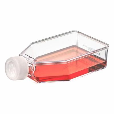 APPROVED VENDOR Plastic Flasks: Cell Culture, Polystyrene, 250 mL, 8.45 fl oz - Plastic Cell Culture Flasks