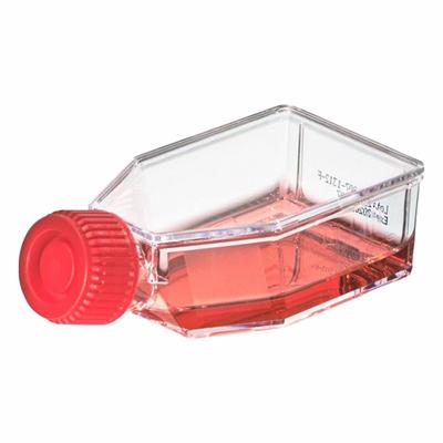 APPROVED VENDOR Plastic Flasks: Cell Culture, Polystyrene, 17.5 mL, 0.59 fl oz - Plastic Cell Culture Flasks