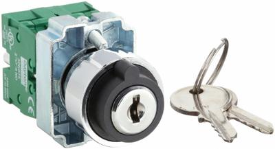 Dayton Selector Switch: 3 Position, 22 mm Panel Mounting Size - Panel-Mounted Key Switches with Contacts