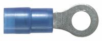 PANDUIT Ring Terminal: Blue, Nylon Insulation, #6 Stud Size, 18 AWG to 14 AWG Wire Sizes, 600 V (MPN PN14-6R-M). Key specifications — attr1308027: PANDUIT.