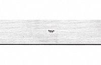 STARRETT Straight Edge: Metric/SAE, Not Certified, Polished, Steel, ± 0.0002 in/ft, ± 0.0004 in (MPN 380-48). Key specifications — attr950652: Polished; attr950646: ± 0.0004 in; attr950653: ± 0.0002 in/ft; attr950657: Metric/SAE; attr950658: Steel; attr950660: Quick Reading; attr950647: Not Certified; attr950649: Square.