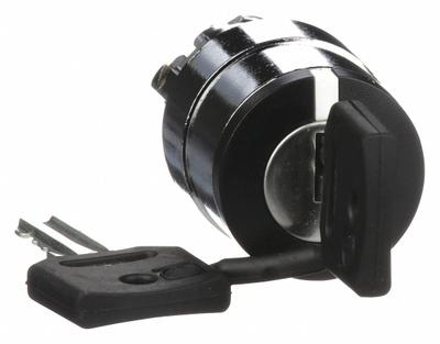 SCHNEIDER Keyed Selector Switch: 2 Position, 22 mm Panel Mounting Size - Panel-Mounted Key Switches without Contacts