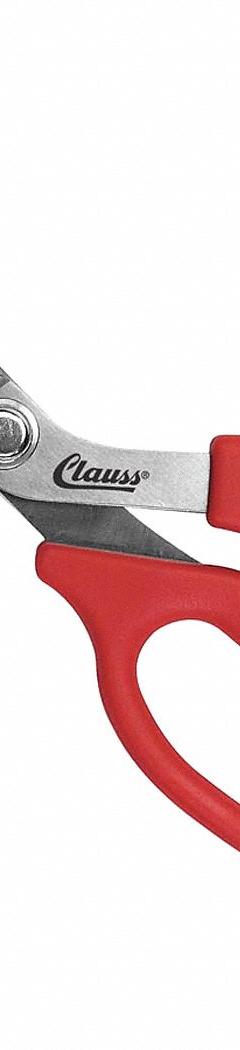 CLAUSS Shears: Ambidextrous, 8 in Overall Lg, Serrated, Stainless Steel, Pointed, Red (MPN 18213). Key specifications — attr308500: Stainless Steel; attr308502: Red; attr308505: Ambidextrous; attr308522: Vinyl; attr324896: CLAUSS.
