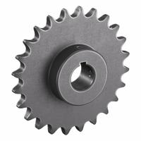 TRITAN Roller Chain Sprocket: 100, For 1 1/4 in Chain Pitch, 2 in Bore Dia, 24 Teeth, Steel (MPN 100BS24H X 2). Key specifications — Brand: TRITAN.