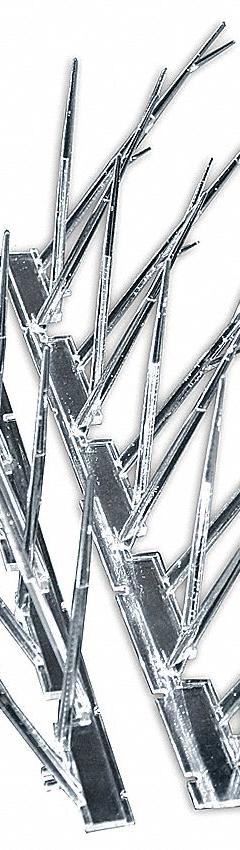 BIRD-X Bird Repellent Spikes: Std, Plastic Base, Clear, 100 ft Overall Lg, Plastic Spikes (MPN SP-100). Key specifications — Brand: BIRD-X; Spike Material: Plastic; Targeted Birds: Sparrows; Base Material: Plastic; Ledge Width: Standard.