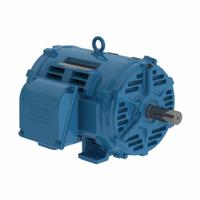 WEG General Purpose Motor: Rigid Base Mount, Open Drip Proof, 25 hp, 230/460V AC/380V AC, 1,740 RPM (MPN 02518OT3E284T-W40G). Key specifications — Brand: WEG; Nameplate Voltage @ 60 Hz: 230/460V AC; Full Load Current @ 60 Hz: 29.5 A; Nameplate RPM @ 60 Hz: 1,740 RPM; Motor Enclosure: ODP.