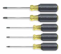 KLEIN TOOLS General Purpose Screwdriver Set: 1-10 Pieces, 5 Pieces, Torx Tip, 9 in Overall Lg (MPN 19555). Key specifications — attr1205274: KLEIN TOOLS; attr1205269: T20.