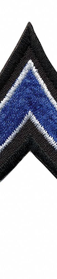 HEROS PRIDE Embroidered Patch: PFC, 3 in, Black, Polyester/Rayon, Rank Insignia, 1 PR (MPN 5421P). Key specifications — attr188498: 3 in; attr188499: Black; attr188500: Rayon; attr188503: PFC; attr193746: HEROS PRIDE.