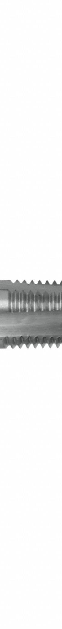 CLEVELAND Straight Flute Hand Tap: #8-36 UNF, H1 / 2B, 4 Flute, Plug Chamfer, High Speed Steel (MPN C54288)