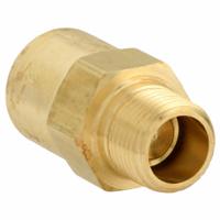 APPROVED VENDOR Piston Spring Check Valve: Piston, Inline Valve Body, 1/2 in Pipe Size, FNPT x MNPT (MPN CHK BRS 810-8F8M-B). Key specifications — Brand: APPROVED VENDOR.