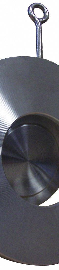 CHAMPION Check Valve: Swing, Inline Valve Body, 2 in Pipe Size, Flange, 316 Stainless Steel, Flange (MPN 2SDS15-SSP-R). Key specifications — Seat Material: Metal; Brand: CHAMPION; Disc Material: 316 Stainless Steel.