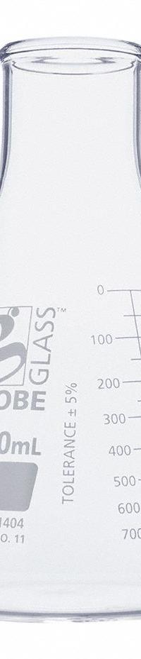 GLOBE SCIENTIFIC Erlenmeyer Flask: 1 L, Colorless, Conical, A, 11 Compatible with Stopper Size (MPN 8411000). Key specifications — Shape: Conical; Body Color: Colorless; Brand: GLOBE SCIENTIFIC; Compatible with Stopper Size: 11; USP Specification: Type I.