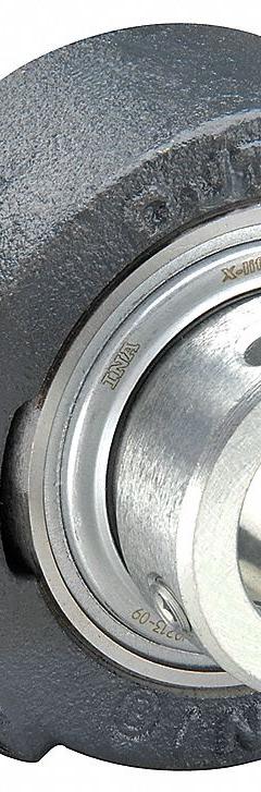 INA 2 Bolt Flange Bearing: Radial Ball, 50 mm Bore, Cast Iron, Eccentric Collar, 190 mm Lg, Rhombus (MPN RCJTZ50-XL). Key specifications — Bore Type: Cylindrical; Brand: INA; Lubricant Material: Lithium Complex Grease; Mounting Bolt Size: M12; Split Housing: Not Split; System of Measurement: Metric.