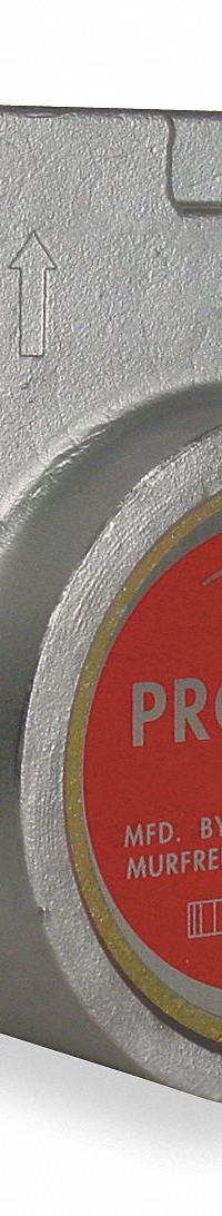 PROCON Rotary Vane Pump: Direct Drive, Stainless Steel Body, 1/2" NPT, 190 gph Max. Flow, 1/2 in SS (MPN 115B190F31BA 250). Key specifications — Vane Material: Carbon; NSF 169 Listed: Yes; Relief Valve Type Included: Standard; Brand: PROCON; Strainer: Not Included; Ports: 1/2" NPT; Relief Valve Type: Standard.