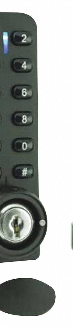 SECURITY DOOR CONTROLS Electronic Keyless Lock: Cam Latch, 4 3/4 in Body Ht, 1 13/32 in Body Wd (MPN 295). Key specifications — Latch Type: Cam Latch; Brand: SECURITY DOOR CONTROLS; Manufacturer Part Number: 295.