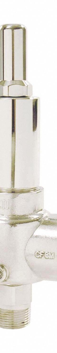 APOLLO POP Safety Relief Valve: MNPT x FNPT, 3/4 in x 1 in, 1,214 psi Max. Op Pressure (MPN 541DDBKMAA0300). Key specifications — Brand: APOLLO.