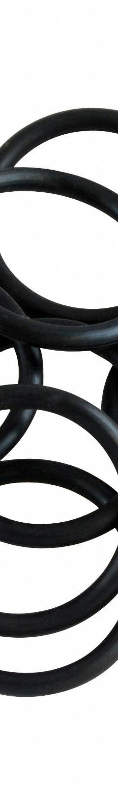 ACORN PARTS O-Ring: 10 PK (MPN 0410-015-001). Key specifications — Product Type: O-Ring; Brand: ACORN PARTS.