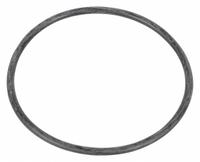 DAYTON O-Ring: Mfr Part # TT2041108040300G, Compatible with Grainger Part # 5YAP6. Key specifications — attr948908: TT2041108040300G; attr948910: 5YAP6.