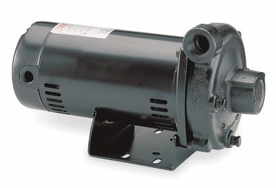 Dayton Centrifugal Pump: 3/4 hp, 115/230V AC, 100 ft Max Head, 1 1/4 in - 1/4 to 3/4 HP Straight Centrifugal Pumps