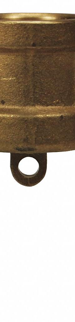 Dust Cap: 1/2 in Coupling Size, 150 psi Max. Working Pressure @ 70 F, 1 11/16 in Overall Lg, Nitrile (MPN G50-DC-BR). Key specifications — Gasket Material: Nitrile; Brand: DIXON VALVE & COUPLING.