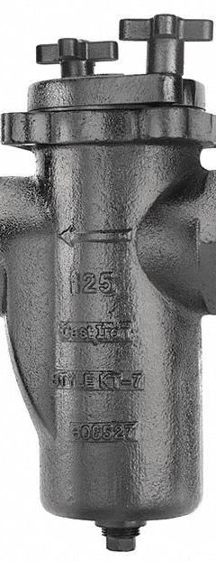 KECKLEY Basket Strainer: Cast Iron, 0.0625 in Screen Size, Single, NPT, 3/8 in, 7 7/8 in Ht (MPN 3/41THS-CI062P34-BOKI-KT7). Key specifications — Brand: KECKLEY; Compatible Product Type: Steam; Gasket Material: Buna-N; Screen Material: 304 Stainless Steel.
