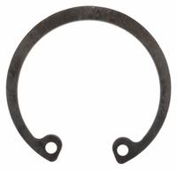 DAYTON Snap-Ring: Fits Dayton Brand, For 5PXX8, For PPTPXX814G