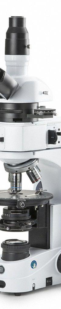 GLOBE SCIENTIFIC Microscope: Compound, Trinocular, 50X to 500X, 22 mm Optical Field of View, 500X (MPN EIS-1053-PLPOLRI​). Key specifications — Brand: GLOBE SCIENTIFIC; Maximum Magnification Capability: 500X; Optical Magnification: 50X to 500X.