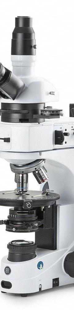 GLOBE SCIENTIFIC Microscope: Compound, Trinocular, 50X to 500X, 22 mm Optical Field of View, 500X (MPN EIS-1053-PLPOLRI​). Key specifications — Brand: GLOBE SCIENTIFIC; Maximum Magnification Capability: 500X; Optical Magnification: 50X to 500X.