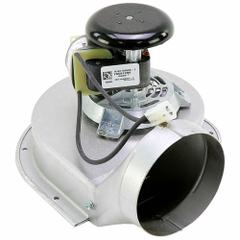 TELEDYNE LAARS Blower Assembly: Teledyne Laars, 115V AC (MPN R2069600). Key specifications — Brand: TELEDYNE LAARS; Manufacturer Part Number: R2069600; Compatible with Brand: Teledyne Laars; Nameplate Voltage: 115V AC.