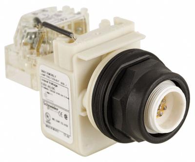 SCHNEIDER Pilot Light: 30 mm Panel Mounting Size, No Lens Included, LED - LED Pilot-Lights without Lenses