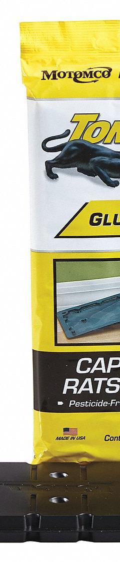 TOMCAT Glue Trap: Glue Trap, 1 in Overall Ht, 4 3/4 in Overall Wd, Plastic, 2 PK (MPN 32423). Key specifications — Reusable: No; Material: Plastic; Brand: TOMCAT.