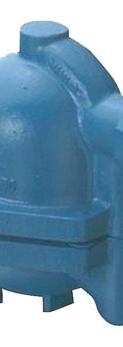 Steam Trap: Cast Iron, 1/2 in FNPT, 500 lb/hr, 250 psi Max., 450°F Max., In-line (MPN 1/2 NFT250-250). Key specifications — Brand: NICHOLSON; Installation Orientation: Horizontal; Float Material: Stainless Steel; Manufacturer Series: NFT 250.