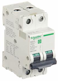 SCHNEIDER IEC Supplementary Protector: 45 A Amps, 10kA at 240V AC, Screw Clamp, C60SP, B (MPN M9F21245). Key specifications