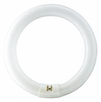 PHILIPS Circular Fluorescent Bulb: Fluorescent, T9, 4-Pin (G10q), 8 in Circle Dia, 22 W Watt, 6200K (MPN FC8T9/DAYDLX/22W/8 12PK). Key specifications — Bulb Shape: T9; Voltage: 61V AC; Brand: PHILIPS; Color Temperature: 6200K; Bulb Designation: FC8T9.