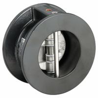 KECKLEY Check Valve: Double Disc, Inline Valve Body, 2 in Pipe Size, Wafer, Cast Iron, Wafer, Wafer (MPN DD1F-CI-34136-200). Key specifications — Brand: KECKLEY.
