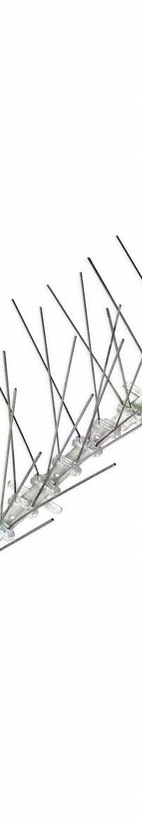 BIRD-X Bird Repellent Spikes: Std, Plastic Base, Clear, 100 ft Overall Lg, Stainless Steel Spikes (MPN STS-100). Key specifications — Brand: BIRD-X; Spike Material: Stainless Steel; Targeted Birds: Pigeons; Base Material: Plastic; Ledge Width: Standard.