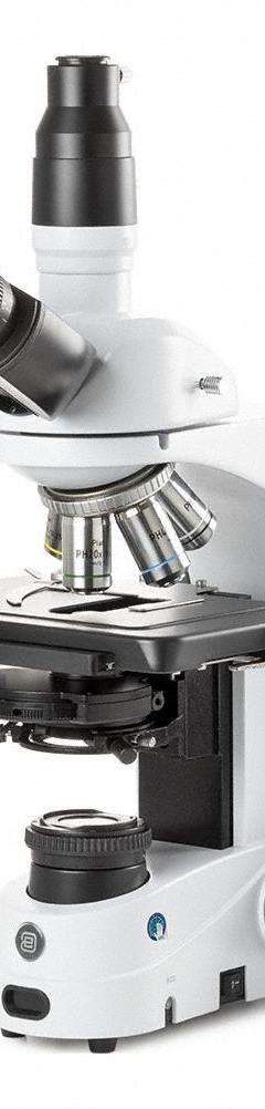 GLOBE SCIENTIFIC Microscope: Compound, Trinocular, 100X to 1000X, 22 mm Optical Field of View, 1000X (MPN EIS-1153-PLPHI​). Key specifications — Brand: GLOBE SCIENTIFIC; Maximum Magnification Capability: 1000X; Optical Magnification: 100X to 1000X.