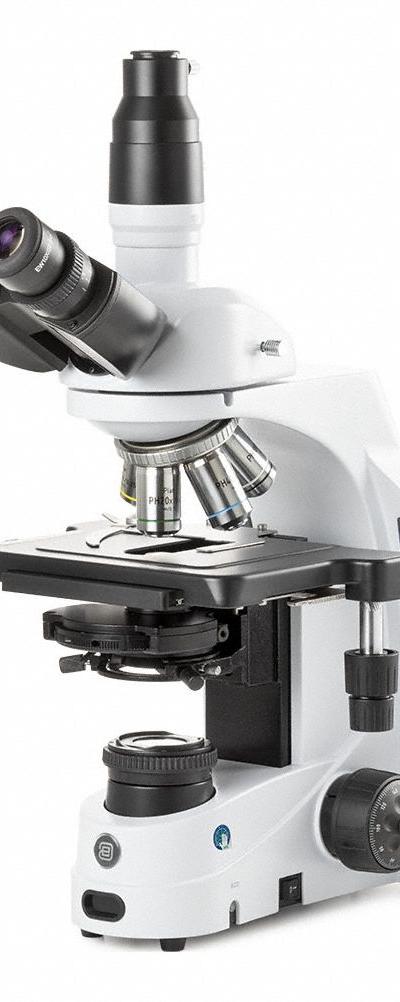 GLOBE SCIENTIFIC Microscope: Compound - Compound Microscopes