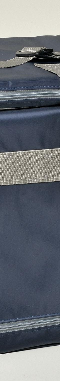 Medical Transfer Tote: 13 1/8 in Overall Lg, 12 1/8 in Overall Wd, 14 7/8 in Overall Ht, Nylon, Blue (MPN 198-BLUE). Key specifications — Material: Nylon; Product Type: Transport Bag; Brand: THERMOSAFE.