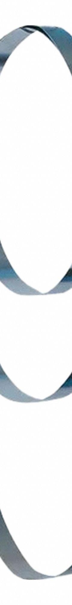 ZEBRA SKIMMERS Belt: Stainless Steel, 1 in W, For Use w/ BPF1-08/BPF1-08(E) (MPN BS-12). Key specifications — For Use with Mfr Model Number: BPF1-08; Manufacturer Part Number: BS-12; Brand: ZEBRA SKIMMERS CORP.; Belt Material: Stainless Steel.