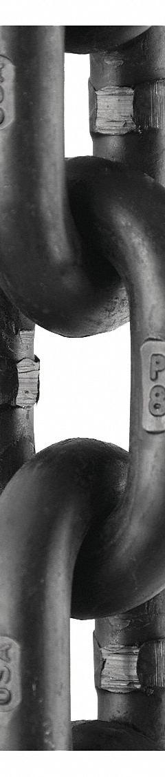 PEERLESS Straight Chain: 1/2 in Trade Size, 80 Chain Grade, Alloy Steel, Straight, 15 ft Overall Lg (MPN 5050615). Key specifications — Link Type: Straight; Brand: PEERLESS.