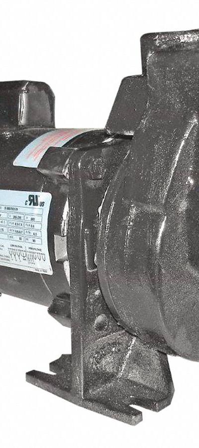 DAYTON Centrifugal Pump: 115/230V AC - 1/8 to 1 HP Self-Priming Centrifugal Pumps