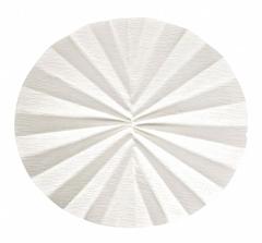CYTIVA WHATMAN Qualitative Filter Paper: 597 Grade, 12.5 cm Dia, Medium, 4 micron Min Pore Size (MPN 10311844). Key specifications — Brand: CYTIVA WHATMAN; Porosity: Medium; Fluted: Yes.