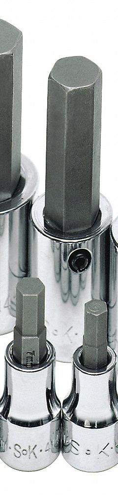 SK PROFESSIONAL TOOLS Socket Bit Set: 1 - 25 Pieces, 3/8 in, 1/2 in Drive Size, 9 Pieces, Metric (MPN 19734). Key specifications — attr1216280: Replaceable Insert; attr1216283: SK PROFESSIONAL TOOLS; attr1225718: 4 mm to 17 mm; attr1227491: 3/8 in, 1/2 in.